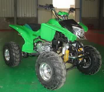 Вездеход ATV ( квадроцикл ) Cobra 200W